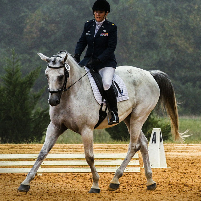 Cut resistant fabric equestrian sector